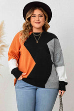 Load image into Gallery viewer, Plus Size Color Block Round Neck Knit Top
